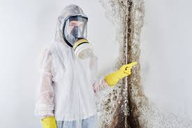 Best Mold Remediation for Healthcare Facilities  in Ocean City, MD